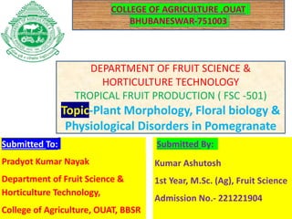DEPARTMENT OF FRUIT SCIENCE &
HORTICULTURE TECHNOLOGY
TROPICAL FRUIT PRODUCTION ( FSC -501)
Topic-Plant Morphology, Floral biology &
Physiological Disorders in Pomegranate
Submitted By:
Kumar Ashutosh
1st Year, M.Sc. (Ag), Fruit Science
Admission No.- 221221904
Submitted To:
Pradyot Kumar Nayak
Department of Fruit Science &
Horticulture Technology,
College of Agriculture, OUAT, BBSR
 