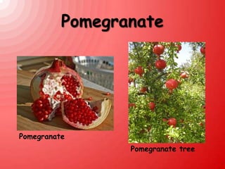 Pomegranate




Pomegranate
                 Pomegranate tree
 