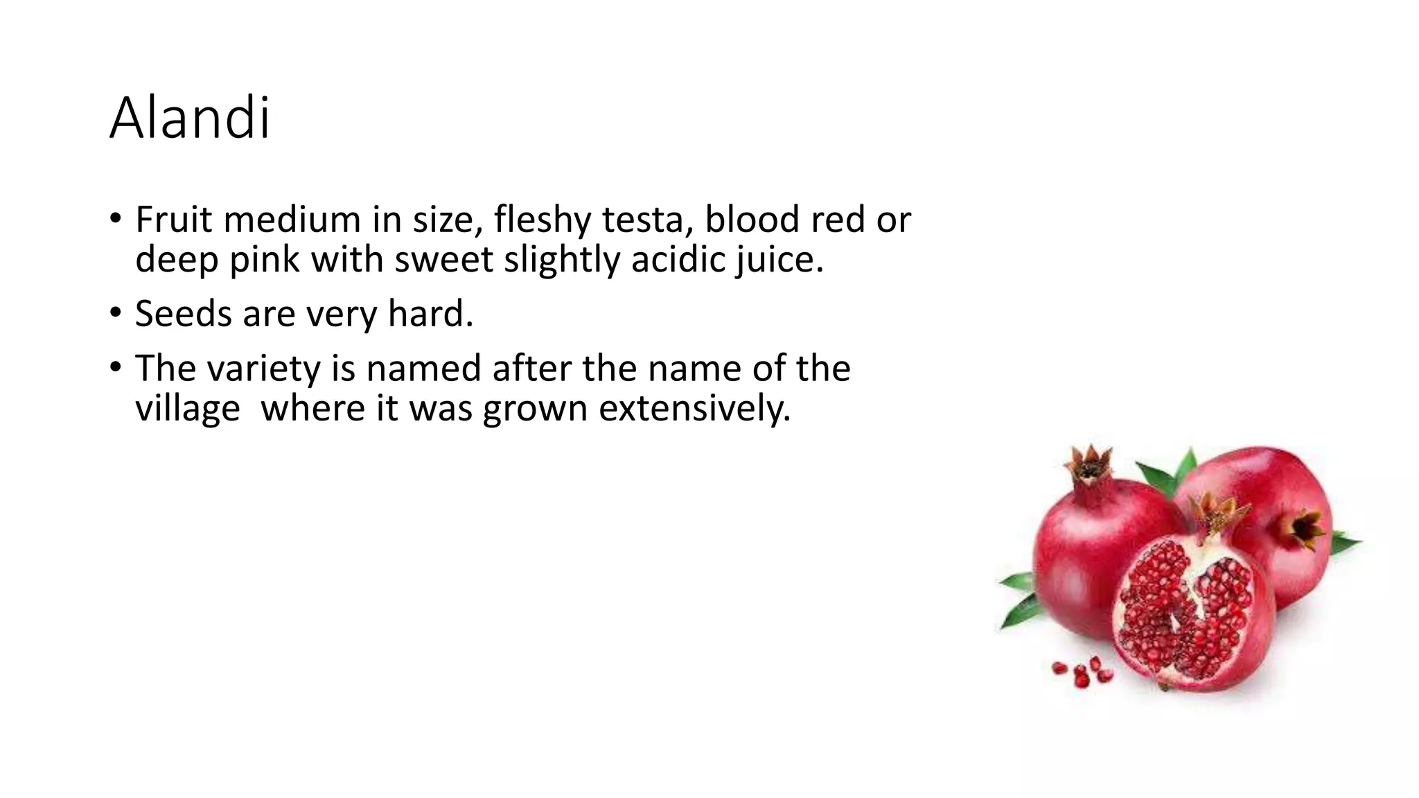Alandi
• Fruit medium in size, fleshy testa, blood red or
deep pink with sweet slightly acidic juice.
• Seeds are very hard.
• The variety is named after the name of the
village where it was grown extensively.
 