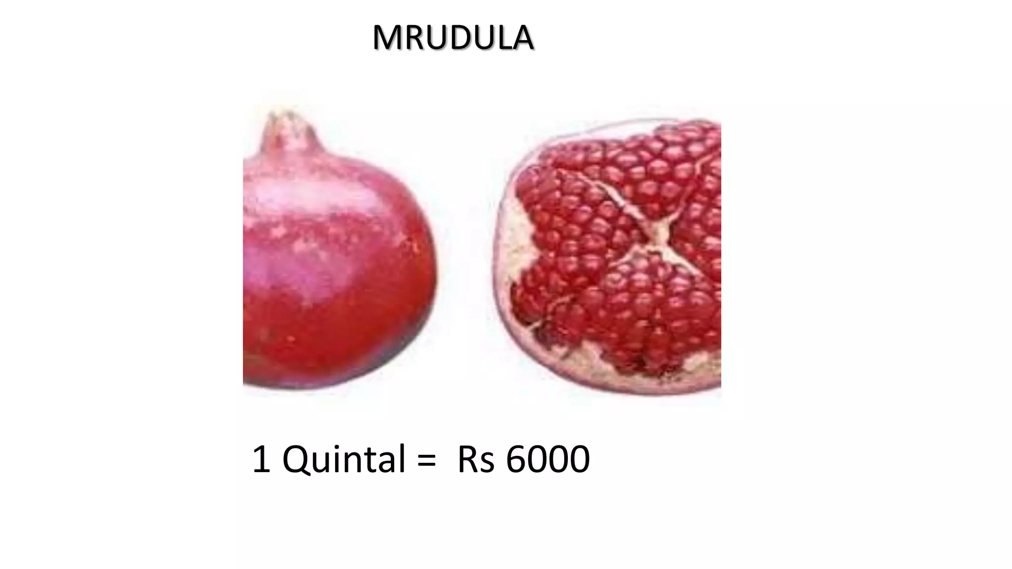 MRUDULA
1 Quintal = Rs 6000
 