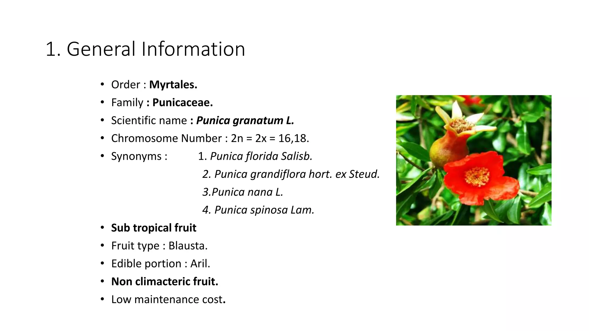 1. General Information
• Order : Myrtales.
• Family : Punicaceae.
• Scientific name : Punica granatum L.
• Chromosome Number : 2n = 2x = 16,18.
• Synonyms : 1. Punica florida Salisb.
2. Punica grandiflora hort. ex Steud.
3.Punica nana L.
4. Punica spinosa Lam.
• Sub tropical fruit
• Fruit type : Blausta.
• Edible portion : Aril.
• Non climacteric fruit.
• Low maintenance cost.
 