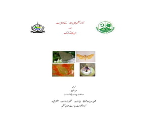 Pomegranate insects urdu A Lecture To ToT trainees ( FFS)  By  Mr. Allah Dad Khan  Provincial Coordinator IPM KPK  MINFAL  Pakistan