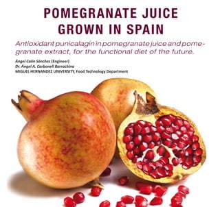 POMEGRANATE JUICE
GROWN IN SPAIN
Antioxidant punicalagin in pomegranate juice and pome-
granate extract, for the functional diet of the future.
Ángel Calín Sánchez (Engineer)
Dr. Ángel A. Carbonell Barrachina
MIGUEL HERNANDEZ UNIVERSITY, Food Technology Department
 