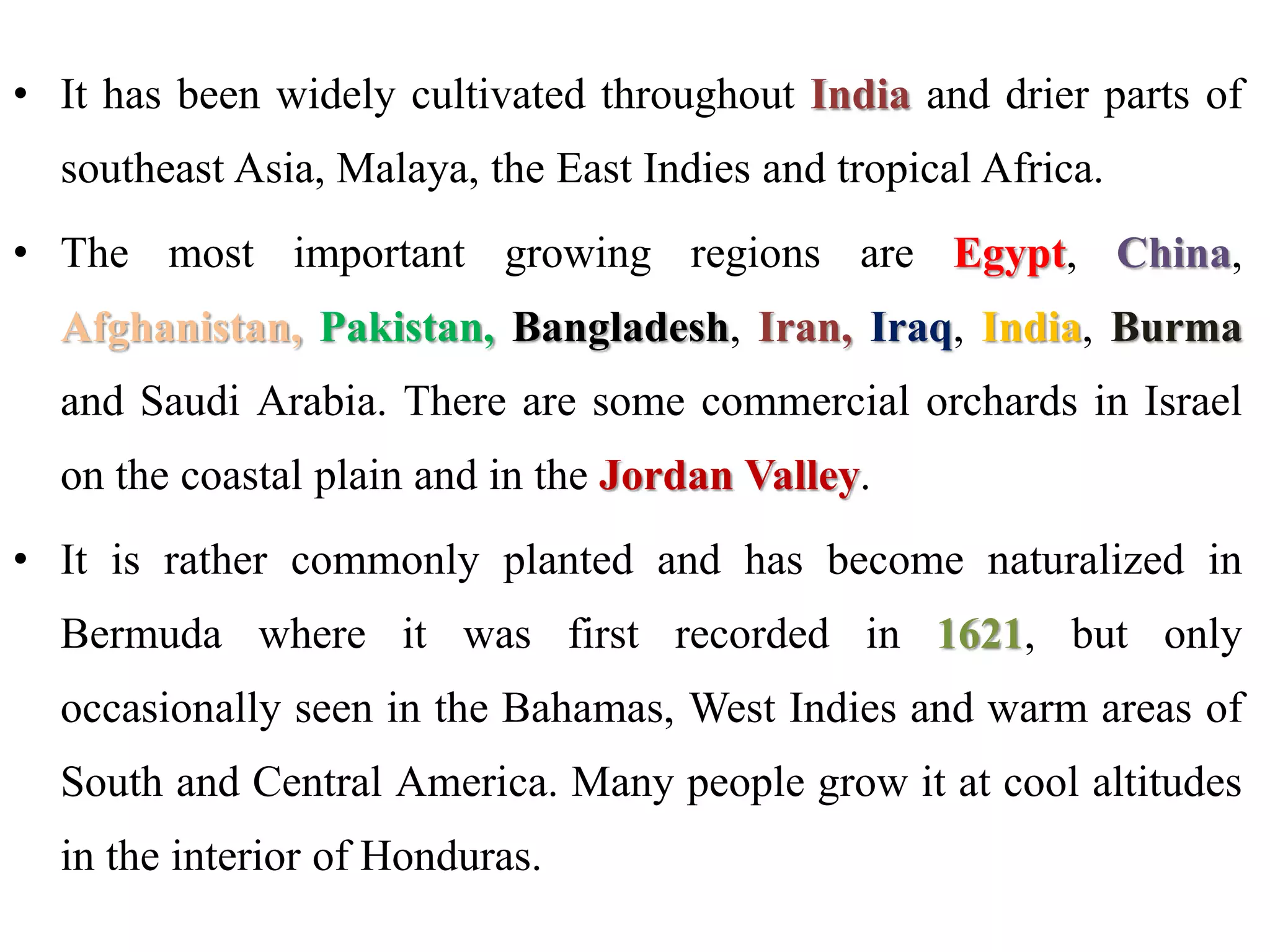 • It has been widely cultivated throughout India and drier parts of
southeast Asia, Malaya, the East Indies and tropical Africa.
• The most important growing regions are Egypt, China,
Afghanistan, Pakistan, Bangladesh, Iran, Iraq, India, Burma
and Saudi Arabia. There are some commercial orchards in Israel
on the coastal plain and in the Jordan Valley.
• It is rather commonly planted and has become naturalized in
Bermuda where it was first recorded in 1621, but only
occasionally seen in the Bahamas, West Indies and warm areas of
South and Central America. Many people grow it at cool altitudes
in the interior of Honduras.
 