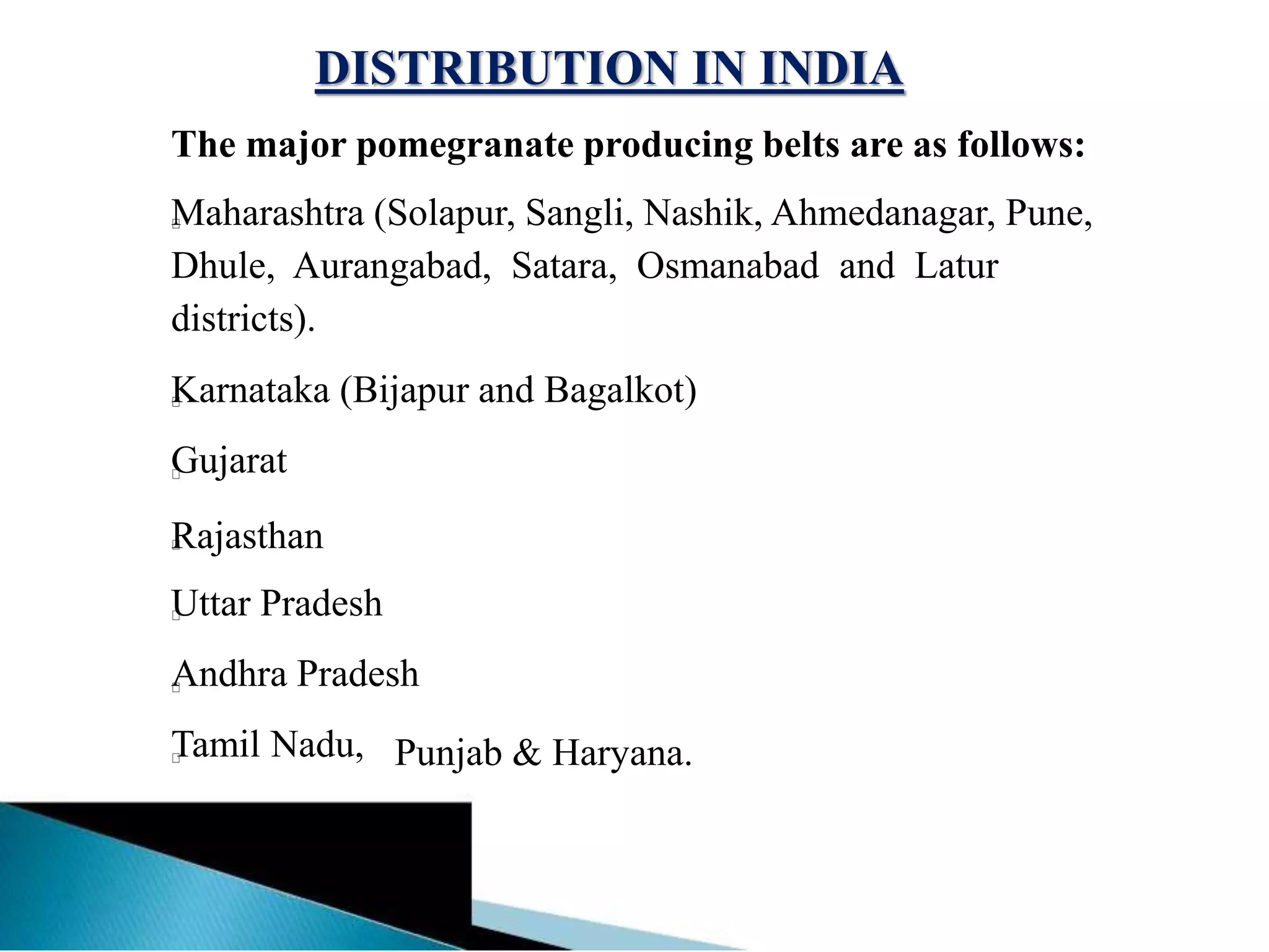 DISTRIBUTION IN INDIA
The major pomegranate producing belts are as follows:
Maharashtra (Solapur, Sangli, Nashik, Ahmedanagar, Pune,
Dhule, Aurangabad, Satara, Osmanabad and Latur
districts).
Karnataka (Bijapur and Bagalkot)
Gujarat
Rajasthan
Uttar Pradesh
Andhra Pradesh
Tamil Nadu, Punjab & Haryana.
 