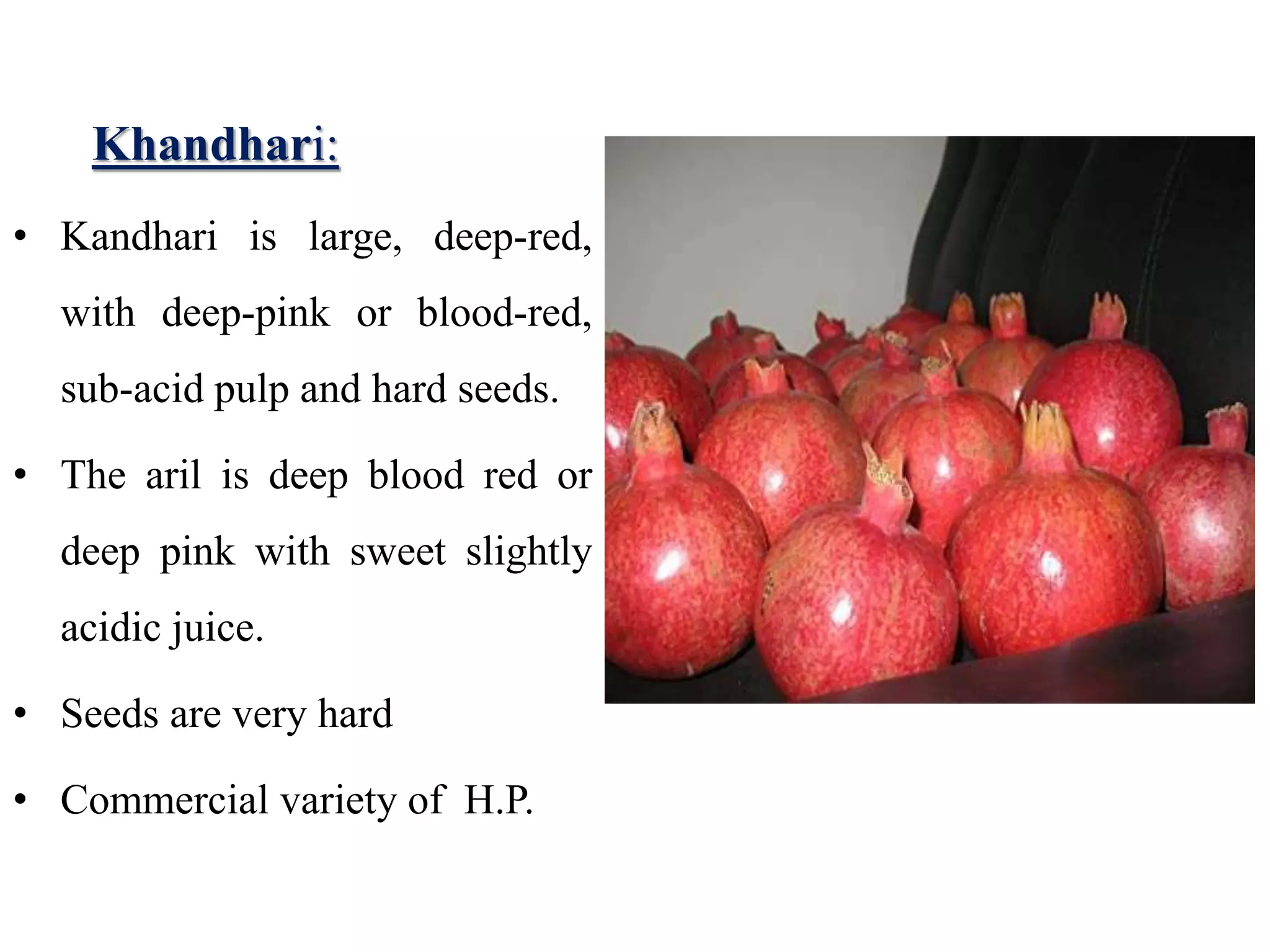 Khandhari:
• Kandhari is large, deep-red,
with deep-pink or blood-red,
sub-acid pulp and hard seeds.
• The aril is deep blood red or
deep pink with sweet slightly
acidic juice.
• Seeds are very hard
• Commercial variety of H.P.
 