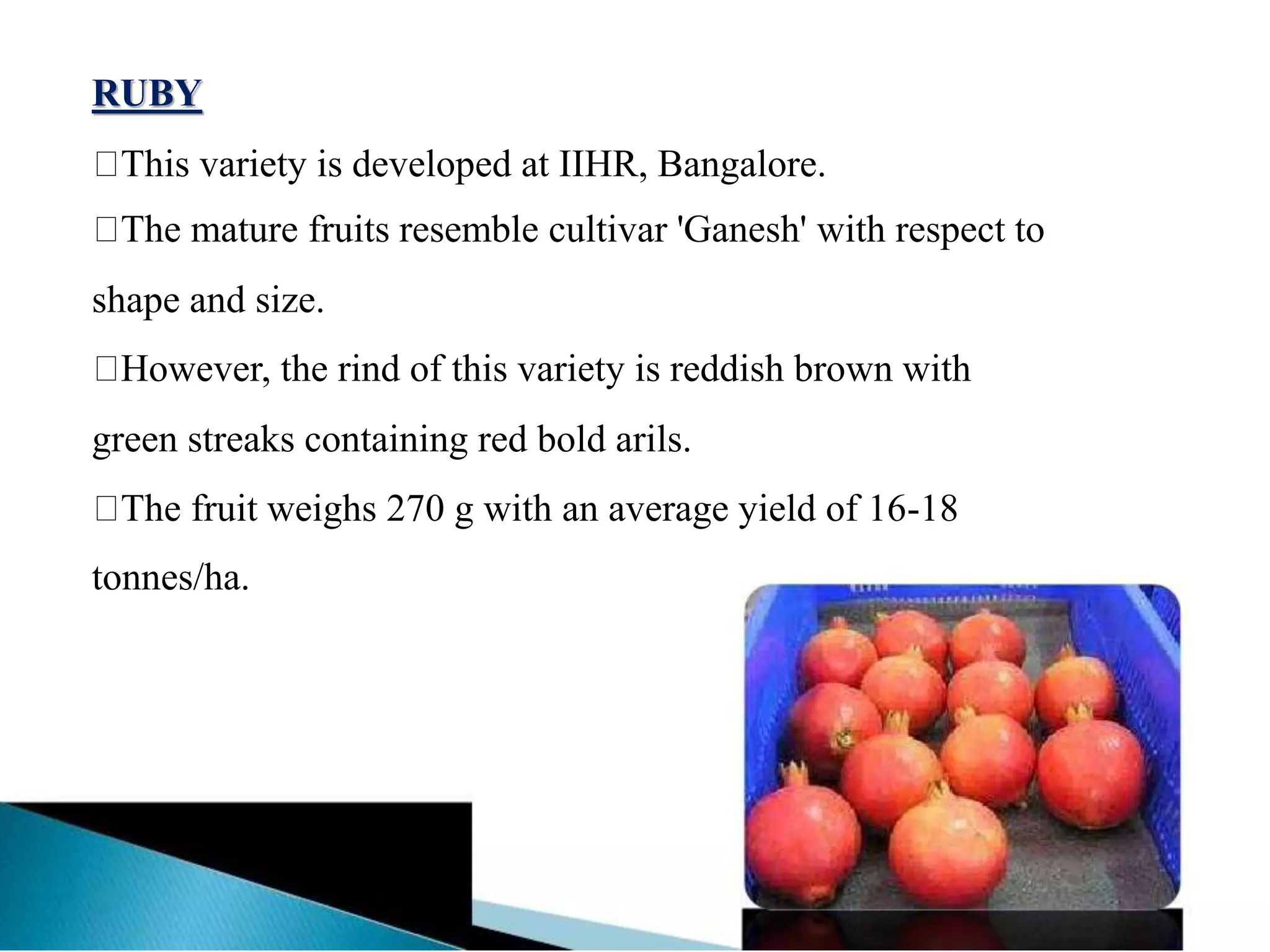 RUBY
This variety is developed at IIHR, Bangalore.
The mature fruits resemble cultivar 'Ganesh' with respect to
shape and size.
However, the rind of this variety is reddish brown with
green streaks containing red bold arils.
The fruit weighs 270 g with an average yield of 16-18
tonnes/ha.
 