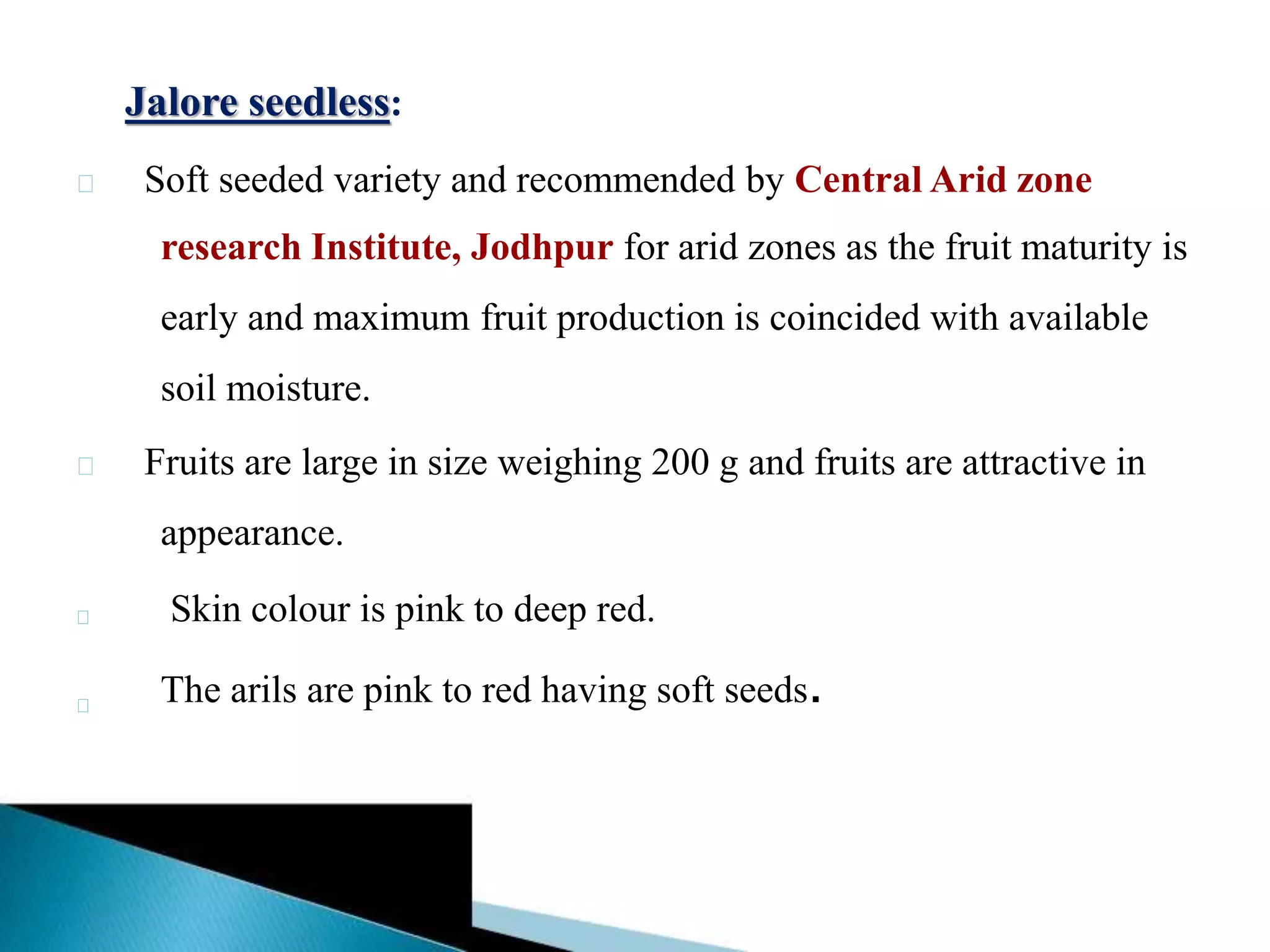 Jalore seedless:
Soft seeded variety and recommended by Central Arid zone
research Institute, Jodhpur for arid zones as the fruit maturity is
early and maximum fruit production is coincided with available
soil moisture.
Fruits are large in size weighing 200 g and fruits are attractive in
appearance.
Skin colour is pink to deep red.
The arils are pink to red having soft seeds.
 