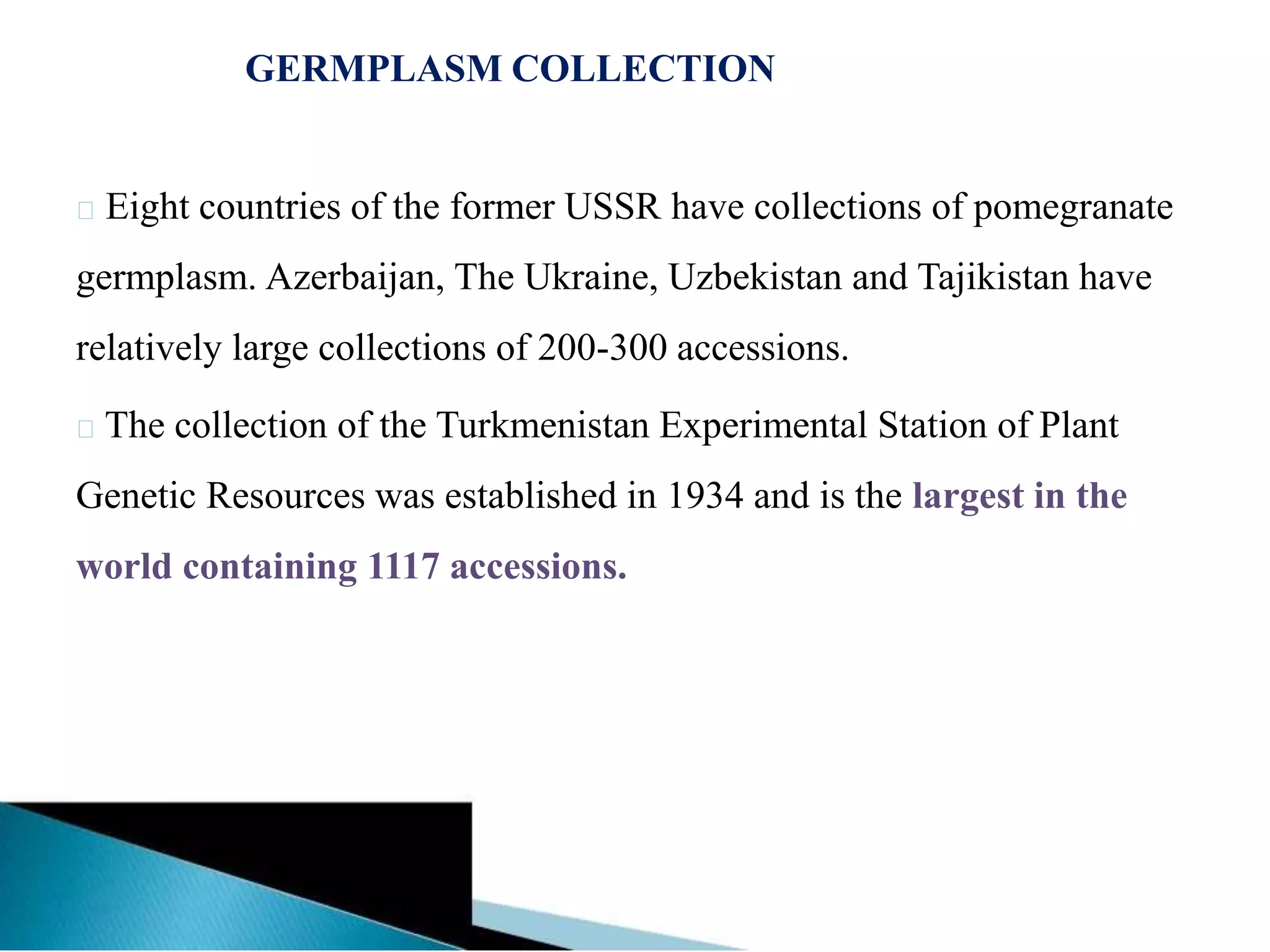 GERMPLASM COLLECTION
Eight countries of the former USSR have collections of pomegranate
germplasm. Azerbaijan, The Ukraine, Uzbekistan and Tajikistan have
relatively large collections of 200-300 accessions.
The collection of the Turkmenistan Experimental Station of Plant
Genetic Resources was established in 1934 and is the largest in the
world containing 1117 accessions.
 