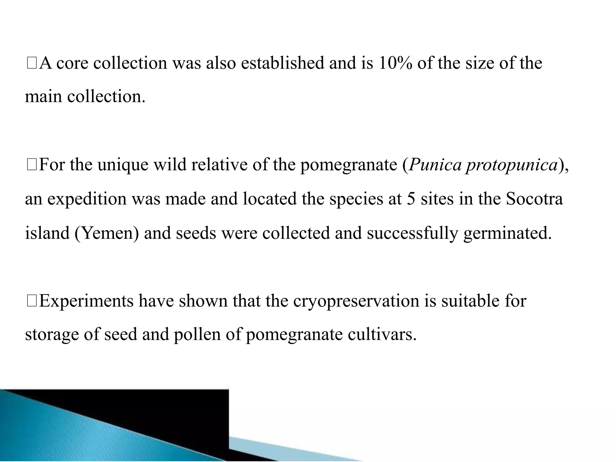 A core collection was also established and is 10% of the size of the
main collection.
For the unique wild relative of the pomegranate (Punica protopunica),
an expedition was made and located the species at 5 sites in the Socotra
island (Yemen) and seeds were collected and successfully germinated.
Experiments have shown that the cryopreservation is suitable for
storage of seed and pollen of pomegranate cultivars.
 