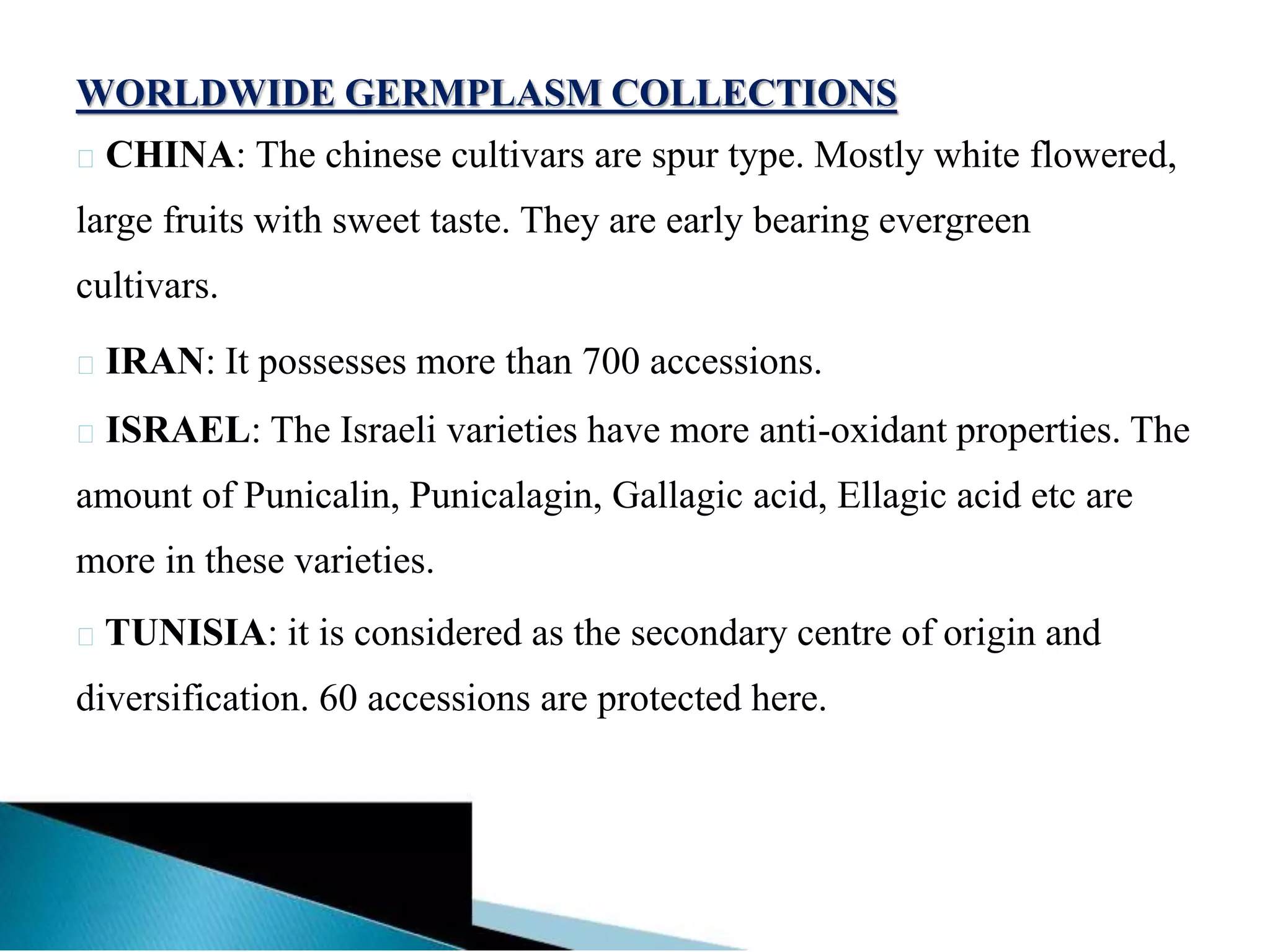 WORLDWIDE GERMPLASM COLLECTIONS
CHINA: The chinese cultivars are spur type. Mostly white flowered,
large fruits with sweet taste. They are early bearing evergreen
cultivars.
IRAN: It possesses more than 700 accessions.
ISRAEL: The Israeli varieties have more anti-oxidant properties. The
amount of Punicalin, Punicalagin, Gallagic acid, Ellagic acid etc are
more in these varieties.
TUNISIA: it is considered as the secondary centre of origin and
diversification. 60 accessions are protected here.
 