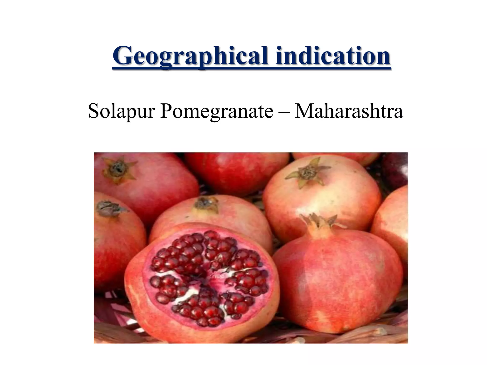 Geographical indication
Solapur Pomegranate – Maharashtra
 