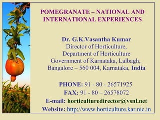 POMEGRANATE – NATIONAL AND 
INTERNATIONAL EXPERIENCES 
Dr. G.K.Vasantha Kumar 
Director of Horticulture, 
Department of Horticulture 
Government of Karnataka, Lalbagh, 
Bangalore – 560 004, Karnataka, India 
PHONE: 91 - 80 - 26571925 
FAX: 91 - 80 – 26578072 
E-mail: horticulturedirector@vsnl.net 
Website: http://www.horticulture.kar.nic.in 
 