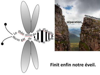 séparation,




Finit enfin notre éveil.
 