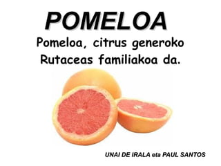 POMELOA
Pomeloa, citrus generoko
 Rutaceas familiakoa da.




           UNAI DE IRALA eta PAUL SANTOS
 