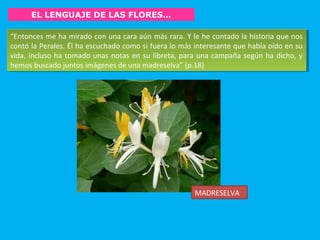 EL LENGUAJE DE LAS FLORES…
“Entonces me ha mirado con una cara aún más rara. Y le he contado la historia que nos
contó la Perales. Él ha escuchado como si fuera lo más interesante que había oído en su
vida, incluso ha tomado unas notas en su libreta, para una campaña según ha dicho, y
hemos buscado juntos imágenes de una madreselva” (p.18)
“Entonces me ha mirado con una cara aún más rara. Y le he contado la historia que nos
contó la Perales. Él ha escuchado como si fuera lo más interesante que había oído en su
vida, incluso ha tomado unas notas en su libreta, para una campaña según ha dicho, y
hemos buscado juntos imágenes de una madreselva” (p.18)
MADRESELVA
 