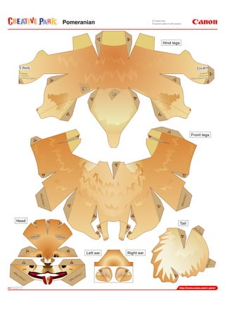 Hind legs
Front legs
Tail
Head
Right earLeft ear
Pomeranian
 
