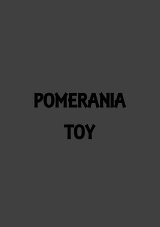 POMERANIA
TOY

 