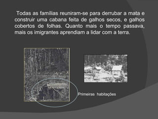 Todas as famílias reuniram-se para derrubar a mata e construir uma cabana feita de galhos secos, e galhos cobertos de folhas. Quanto mais o tempo passava, mais os imigrantes aprendiam a lidar com a terra.  Primeiras  habitações 
