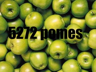 5272 pomes
 