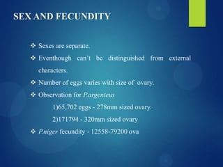 SEX AND FECUNDITY
 Sexes are separate.
 Eventhough can’t be distinguished from external
characters.
 Number of eggs varies with size of ovary.
 Observation for P.argenteus
1)65,702 eggs - 278mm sized ovary.
2)171794 - 320mm sized ovary
 P.niger fecundity - 12558-79200 ova

 