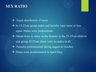 SEX RATIO

 Equal distribution of sexes.

 In 15-25cm group males and females were more or less
equal. Males were predominant,
 About twice as many as the females in the 25-35cm.while in

size group 45-55cm ,there were no males at all.
 Females predominated during august to October.
 Males were predominated in April-May.

 