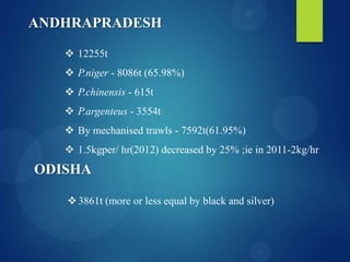 ANDHRAPRADESH
 12255t
 P.niger - 8086t (65.98%)

 P.chinensis - 615t
 P.argenteus - 3554t
 By mechanised trawls - 7592t(61.95%)
 1.5kgper/ hr(2012) decreased by 25% ;ie in 2011-2kg/hr

ODISHA
 3861t (more or less equal by black and silver)

 