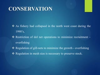 CONSERVATION
 As fishery had collapsed in the north west coast during the
1990’s,

 Restriction of dol net operations to minimize recruitment –
overfishing
 Regulation of gill-nets to minimize the growth - overfishing

 Regulation in mesh size is necessary to preserve stock.

 