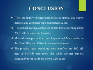 CONCLUSION
 They are highly relished table fishes in internal and export
markets and command high commercial value.
 The annual average capture of 38,000 tonnes forming about
2% of all India marine fisheries.
 Most of their production from Gujarat and Maharashtra in
the North West and Orissa in the northeast coast.
 The principal gear exploiting adult pomfrets are drift gill
nets of 140-155 mm mesh size while dol net exploits
essentially juveniles in the North West coast.

 