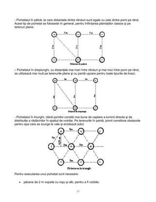 17
- Pichetatul în pătrat, la care distanţele dintre rânduri sunt egale cu cele dintre pomi pe rând.
Acest tip de pichetat se foloseste în general, pentru înfiinţarea plantaţiilor clasice şi pe
terenuri plane;
- Pichetatul în dreptunghi, cu distanţele mai mari între rânduri şi mai mici între pomi pe rând,
se utilizează mai mult pe terenurile plane şi cu pantă uşoara pentru toate tipurile de livezi;
- Pichetatul în triunghi, oferă pomilor condiţii mai bune de captare a luminii directe şi de
distributţe a rădăcinilor în spaţiul de nutriţie. Pe terenurile în pantă, pomii constituie obstacole
pentru apa care se scurge la vale şi erodează solul.
Pentru executarea unui pichetat sunt necesare:
• jaloane de 2 m vopsite cu roşu şi alb, pentru a fi vizibile;
 