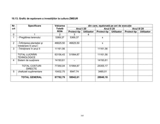 345
10.13. Grafic de eşalonare a investiţiilor la cultura ZMEUR
din care, eşalonată pe ani de execuţie
Anul I 20 Anul II 20 Anul III 20
Nr.
crt
Specificare Valoarea
Totală
RON Proiect tip Utilizator Proiect tip Utilizator Proiect tip Utilizator
0 1 2 3 4
1 - Pregătirea terenului 5369,37 5369,37 x
2 - Înfiinţarea plantaţiei şi
întreţinere în anul I
46625,50 46625,50 x
3 - Întreţinere în anul II 11161,56 11161,56
TOTAL LUCRĂRI
TEHNOLOGICE
63156,43 51994,87 11161,56
4 Sistem de susţinere 14193,61 - 14193,61
TOTAL COSTURI
DIRECTE
77350,04 51994,87 25355,17
5 cheltuieli suplimentare 10432,75 6947,74 3485,01
TOTAL GENERAL 87782,79 58942,61 28840,18
 