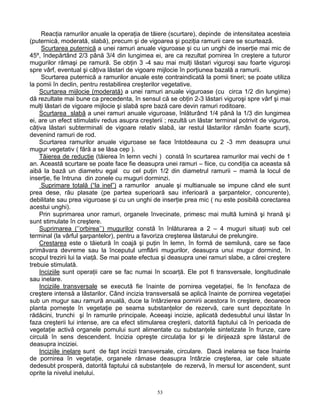 53
Reacţia ramurilor anuale la operaţia de tăiere (scurtare), depinde de intensitatea acesteia
(puternică, moderată, slabă), precum şi de vigoarea şi poziţia ramurii care se scurtează.
Scurtarea puternică a unei ramuri anuale viguroase şi cu un unghi de inserţie mai mic de
45º, îndepărtând 2/3 până 3/4 din lungimea ei, are ca rezultat pornirea în creştere a tuturor
mugurilor rămaşi pe ramură. Se obţin 3 -4 sau mai mulţi lăstari viguroşi sau foarte viguroşi
spre vârf, eventual şi câţiva lăstari de vigoare mijlocie în porţiunea bazală a ramurii.
Scurtarea puternică a ramurilor anuale este contraindicată la pomii tineri; se poate utiliza
la pomii în declin, pentru restabilirea creşterilor vegetative.
Scurtarea mijlocie (moderată) a unei ramuri anuale viguroase (cu circa 1/2 din lungime)
dă rezultate mai bune ca precedenta, în sensul că se obţin 2-3 lăstari viguroşi spre vârf şi mai
mulţi lăstari de vigoare mijlocie şi slabă spre bază care devin ramuri roditoare.
Scurtarea slabă a unei ramuri anuale viguroase, înlăturând 1/4 până la 1/3 din lungimea
ei, are un efect stimulativ redus asupra creşterii ; rezultă un lăstar terminal potrivit de viguros,
câţiva lăstari subterminali de vigoare relativ slabă, iar restul lăstarilor rămân foarte scurţi,
devenind ramuri de rod.
Scurtarea ramurilor anuale viguroase se face întotdeauna cu 2 -3 mm deasupra unui
mugur vegetativ ( fără a se lăsa cep ).
Tăierea de reducţie (tăierea în lemn vechi ) constă în scurtarea ramurilor mai vechi de 1
an. Această scurtare se poate face fie deasupra unei ramuri – fiice, cu condiţia ca aceasta să
aibă la bază un diametru egal cu cel puţin 1/2 din diametrul ramurii – mamă la locul de
inserţie, fie întruna din zonele cu muguri dorminzi.
Suprimare totală (“la inel”) a ramurilor anuale şi multianuale se impune când ele sunt
prea dese, rău plasate (pe partea superioară sau inferioară a şarpantelor, concurente),
debilitate sau prea viguroase şi cu un unghi de inserţie prea mic ( nu este posibilă corectarea
acestui unghi).
Prin suprimarea unor ramuri, organele învecinate, primesc mai multă lumină şi hrană şi
sunt stimulate în creştere.
Suprimarea (‘’orbirea’’) mugurilor constă în înlăturarea a 2 – 4 muguri situaţi sub cel
terminal (la vârful şarpantelor), pentru a favoriza creşterea lăstarului de prelungire.
Crestarea este o tăietură în coajă şi puţin în lemn, în formă de semilună, care se face
primăvara devreme sau la începutul umflării mugurilor, deasupra unui mugur dormind, în
scopul trezirii lui la viaţă. Se mai poate efectua şi deasupra unei ramuri slabe, a cărei creştere
trebuie stimulată.
Inciziile sunt operaţii care se fac numai în scoarţă. Ele pot fi transversale, longitudinale
sau inelare.
Inciziile transversale se execută fie înainte de pornirea vegetaţiei, fie în fenofaza de
creştere intensă a lăstarilor. Când incizia transversală se aplică înainte de pornirea vegetaţiei
sub un mugur sau ramură anuală, duce la întârzierea pornirii acestora în creştere, deoarece
planta porneşte în vegetaţie pe seama substanţelor de rezervă, care sunt depozitate în
rădăcini, trunchi şi în ramurile principale. Aceeaşi incizie, aplicată dedesubtul unui lăstar în
faza creşterii lui intense, are ca efect stimularea creşterii, datorită faptului că în perioada de
vegetaţie activă organele pomului sunt alimentate cu substanţele sintetizate în frunze, care
circulă în sens descendent. Incizia opreşte circulaţia lor şi le dirijează spre lăstarul de
deasupra inciziei.
Inciziile inelare sunt de fapt incizii transversale, circulare. Dacă inelarea se face înainte
de pornirea în vegetaţie, organele rămase deasupra întârzie creşterea, iar cele situate
dedesubt prosperă, datorită faptului că substanţele de rezervă, în mersul lor ascendent, sunt
oprite la nivelul inelului.
 