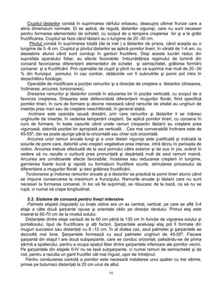 54
Ciupitul lăstarilor constă în suprimarea vârfului erbaceu, deasupra ultimei frunze care a
atins dimensiuni normale. El se aplică, de regulă, lăstarilor viguroşi, care nu sunt necesari
pentru formarea elementelor de schelet, cu scopul de a tempera creşterea lor şi a le grăbi
fructificarea. Ciupitul se face când lăstarii au o lungime de 20 -30 cm.
Plivitul constă în suprimarea totală (de la inel ) a lăstarilor de prisos, când aceştia au o
lungime de 5 -6 cm. Ciupitul şi plivitul lăstarilor se aplică pomilor tineri, în vârstă de 1-4 ani, cu
deosebire atunci când sunt conduşi în garduri fructifere. Deşi aceste lucrări reduc din
suprafaţa aparatului foliar, au efecte favorabile: îmbunătăţirea regimului de lumină din
coroană favorizarea diferenţierii elementelor de schelet şi semischelet, grăbirea formării
coroanei şi a fructificării. Prin operaţiile de ciupit şi plivit nu se va suprima mai mult de 20 -30
% din frunzişul pomului; în caz contrar, rădăcinile vor fi subnutrite şi pomii pot intra în
dezechilibru fiziologic.
Operaţiile de modificare a poziţiei ramurilor şi a direcţiei de creştere a lăstarilor (dresarea,
înclinarea, arcuirea, torsionarea).
Dresarea ramurilor şi lăstarilor constă în aducerea lor în poziţie verticală, cu scopul de a
favoriza creşterea. Dresarea este defavorabilă diferenţierii mugurilor florali, fiind specifică
pomilor tineri, în curs de formare şi devine necesară când ramurile de shelet au unghiuri de
inserţie prea mari sau de creştere neechilibrată, în general slabă.
Inclinare este operaţia opusă dresării, prin care ramurilor şi lăstarilor li se măresc
unghiurile de inserţie, în vederea temperării creşterii. Se aplică pomilor tineri, cu coroana în
curs de formare, în toate cazurile când unele ramuri (respectiv lăstari) au creştere prea
viguroasă, datorită poziţiei lor apropiată pe verticală . Cea mai convenabilă înclinare este de
45-55º, dar ea poate ajunge până la orizontală sau chiar sub orizontală.
Arcuirea unor ramuri anuale lungi şi a unor lăstari viguroşi este justificată şi indicată la
soiurile de pomi care, datorită unei creşteri vegetative prea intense, intră târziu în perioada de
rodire. Arcuirea trebuie efectuată de la axul pomului către exterior şi de sus în jos, având în
vedere să nu rezulte o curbură prea pronunţată şi depărtată mult de axul ramurii mamă.
Arcuirea are următoarele efecte favorabile: încetarea sau reducerea creşterii în lungime,
garnisirea foarte bună şi rapidă cu formaţiuni fructifere scurte, stimularea procesului de
diferenţiere a mugurilor florali şi deci grăbirea fructificării.
Torsionarea şi îndoirea ramurilor anuale şi a lăstarilor se practică la pomii tineri atunci când
se impune conservarea la maximum a frunzişului. Ramurile anuale şi lăstarii care nu sunt
necesari la formarea coroanei, în loc să fie suprimaţi, se răsucesc de la bază, ca să nu se
rupă, ci numai să crape longitudinal.
5.3. Sisteme de coroană pentru livezi intensive
Palmeta etajată (regulată) cu braţe oblice are un ax central, vertical, pe care se află 3-4
etaje a câte două şarpante opuse şi orientate oblic pe direcţia rândului. Primul etaj este
inserat la 50-70 cm de la nivelul solului.
Distanţele dintre etaje variază de la 60 cm până la 130 cm în funcţie de vigoarea soiului şi
portaltoiului, tipul de fructificare şi alţi factori. Şarpantele aceluiaşi etaj pot fi formate din
muguri succesivi sau distanţaţi cu 8 -12 cm. În al doilea caz, axul palmetei şi şarpantele se
dezvoltă mai bine. Şarpantele formează cu axul palmetei unghiuri de 45-55º. Fiecare
şarpantă din etajul I are două subşarpante, care se conduc orizontal, palisându-se de prima
sârmă a spalierului, pentru a ocupa spaţiul liber dintre şarpantele inferioare ale pomilor vecini.
Pe şarpantele din etajele II-IV nu se lasă subşarpante, ci numai ramuri de semischelet şi de
rod, pentru a rezulta un gard fructifer cât mai îngust, uşor de întreţinut.
Pentru conducerea corectă a pomilor este necesară instalarea unui spalier cu trei sârme,
prinse pe bulumaci distanţaţi la 20 cm unul de altul.
 