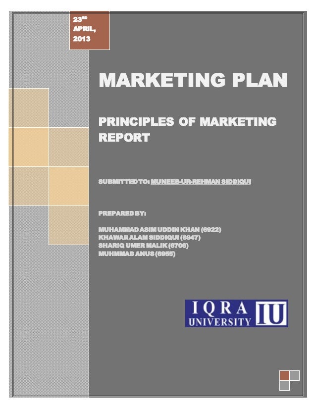 Sample marketing plan for a new product pdf image