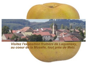 Visitez l'exposition fruitière de Laquenexy,    au coeur de la Moselle, tout près de Metz. 