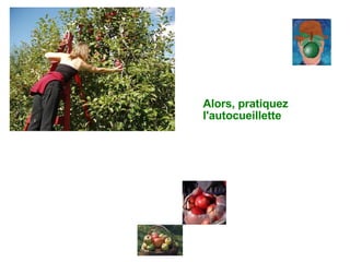 Alors, pratiquez l'autocueillette 