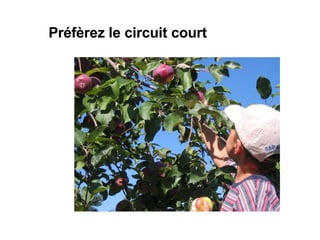 Préfèrez le circuit court 
