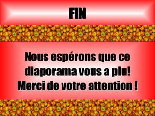 FIN Nous espérons que ce diaporama vous a plu! Merci de votre attention ! 