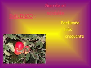 DALINCO  :   Sucrée et acidulée Parfumée  très  craquante 