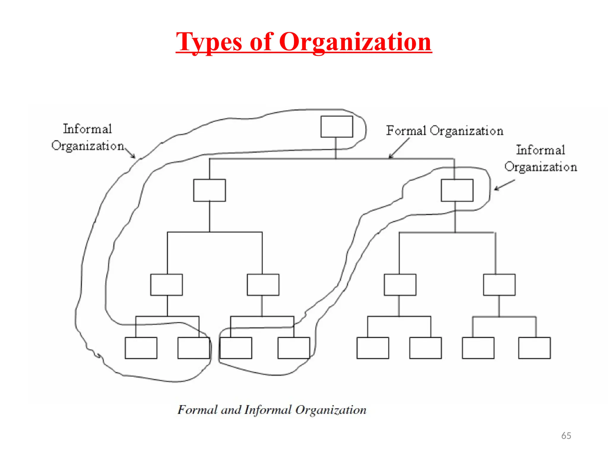 65
Types of Organization
 