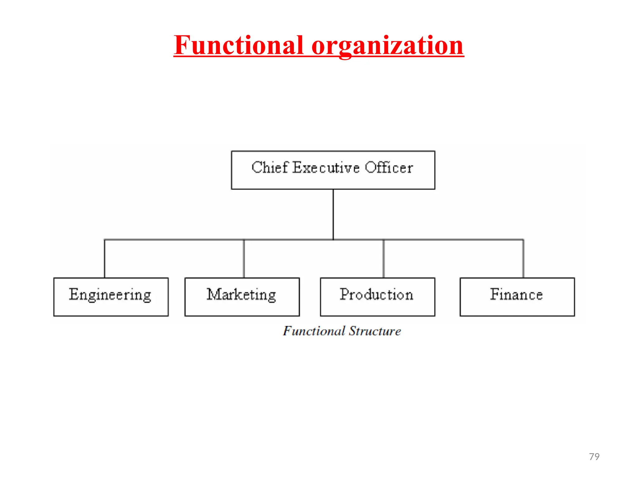 79
Functional organization
 