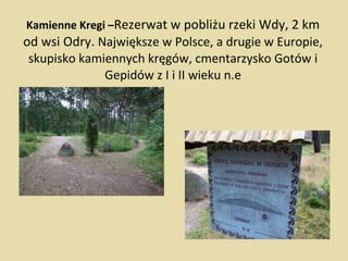 Kamienne Kregi – Rezerwat w pobliżu rzeki Wdy, 2 km od wsi Odry.  Największe w Polsce, a drugie w Europie, skupisko kamiennych kręgów, cmentarzysko Gotów i Gepidów z I i II wieku n.e 