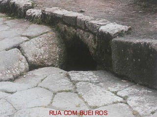 RUA COM BUEI ROS
 