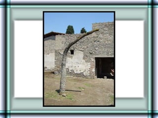 Pompeii      Lost  Town   (Street  View)