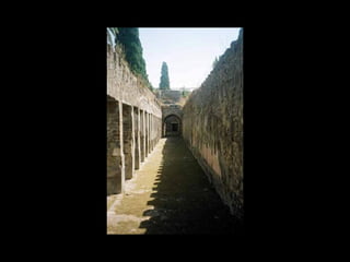 Pompeii      Lost  Town   (Street  View)