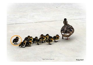 02/10/2012     - EQC -                57
             http://uifoto.ning.com
 