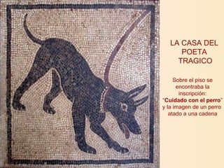 LA CASA DEL  POETA  TRAGICO Sobre el piso se encontraba la inscripción: “ Cuidado con el perro ” y la imagen de un perro  atado a una cadena 