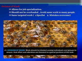 Division of Work
 Allows for job specialization.
 Should not be overloaded , Avoid same work to many people
 Same targeted work ( 1.Speclist 2. Mistakes overcome)
 