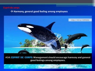 Esprit de corps
 Harmony, general good feeling among employees
 
