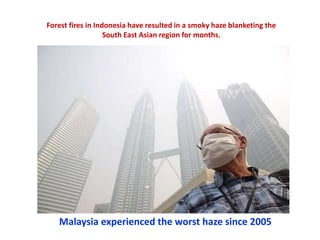 Malaysia experienced the worst haze since 2005
Forest fires in Indonesia have resulted in a smoky haze blanketing the
South East Asian region for months.
 